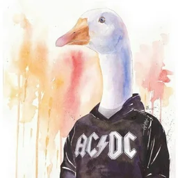 sobergoose