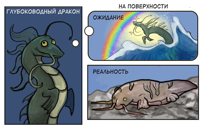 ������������� ������ �� �����������