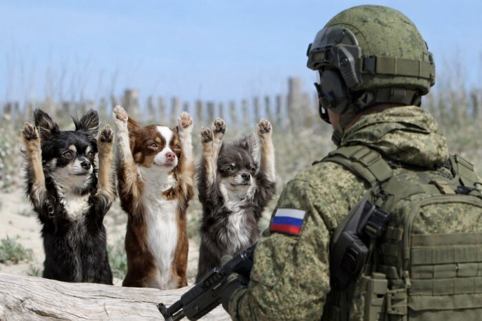 ������� ������ ���� ����������� ����� ������� ������ � ����� ����� �� ���� ����� � The Wall Street Journal