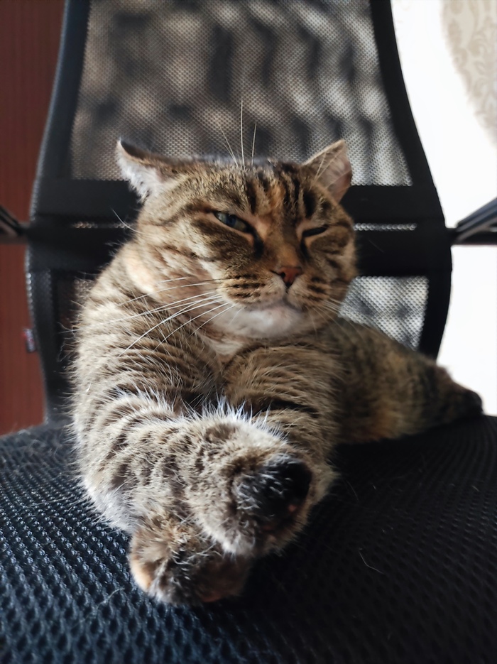 ����� ������ � ������� ������, �� �������� ���� ������