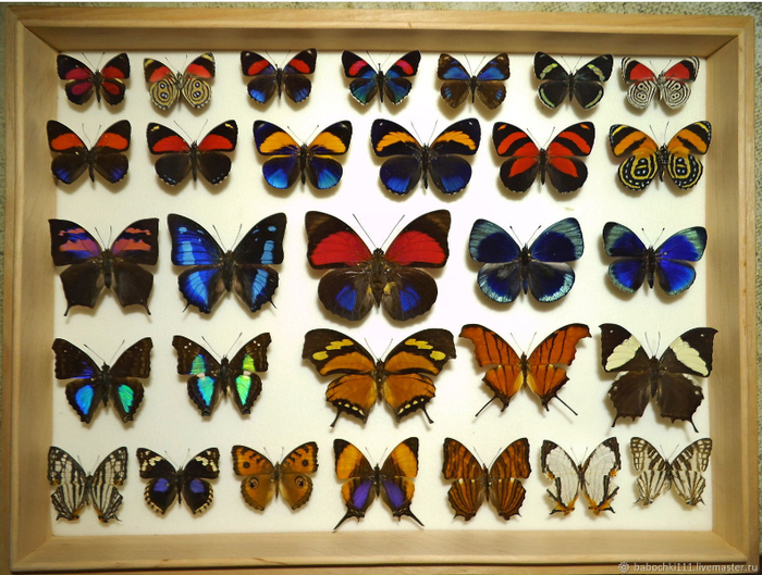 �������� ��, � ��� ��� ��� �������? ������ ���������� ������������ � ���������������� �������� ��� ����������� ������ �������.