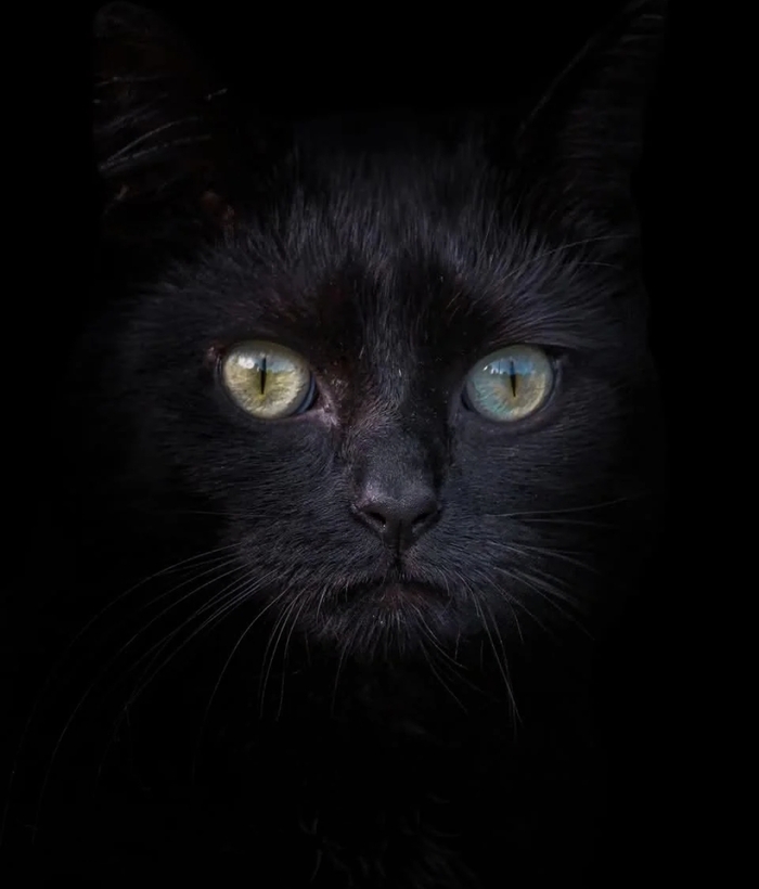 ��������� ������ ���