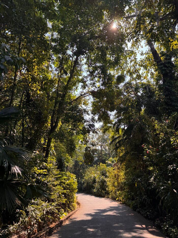 ��������������� ��� ������� � ��������: ��� ����� �����?