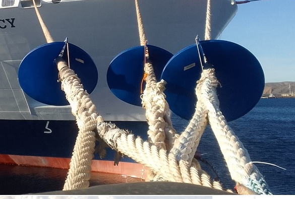 ��������������