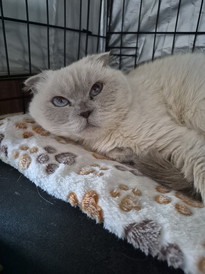 �� � ����������🫣, �� ������ �� ���😠