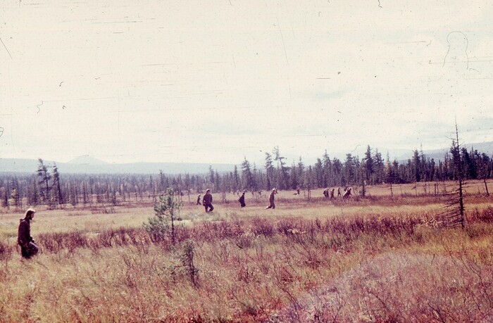 ���� �� �������. ����������� ��������.