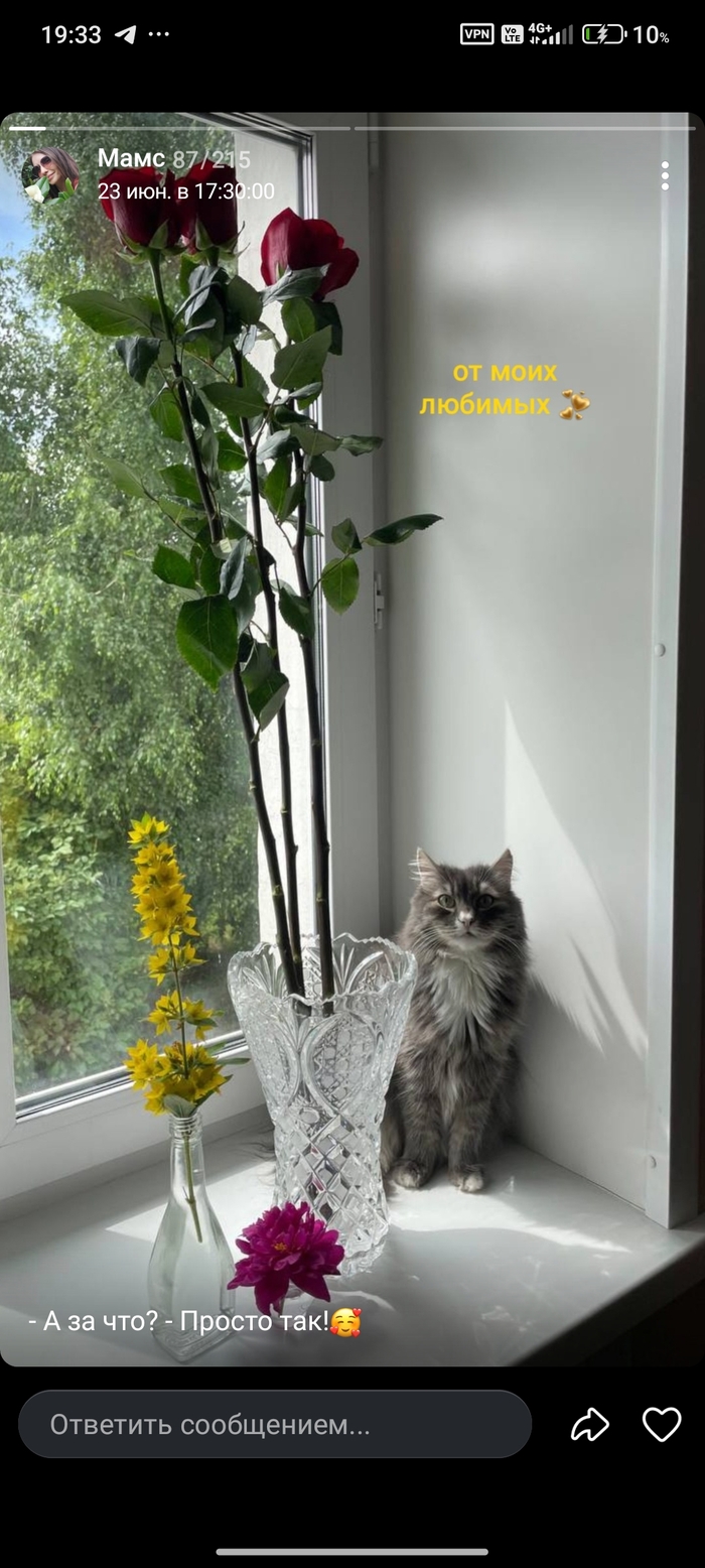 ����� ��� �����  ������ ������ �����