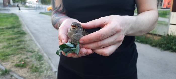 ����� �� ���� ����������