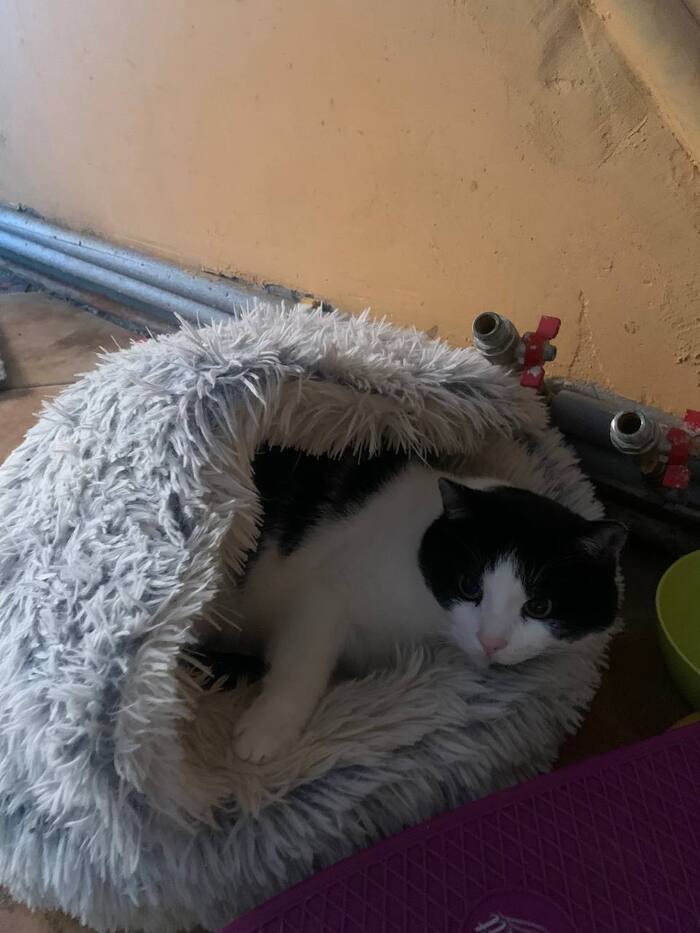 �������� �������