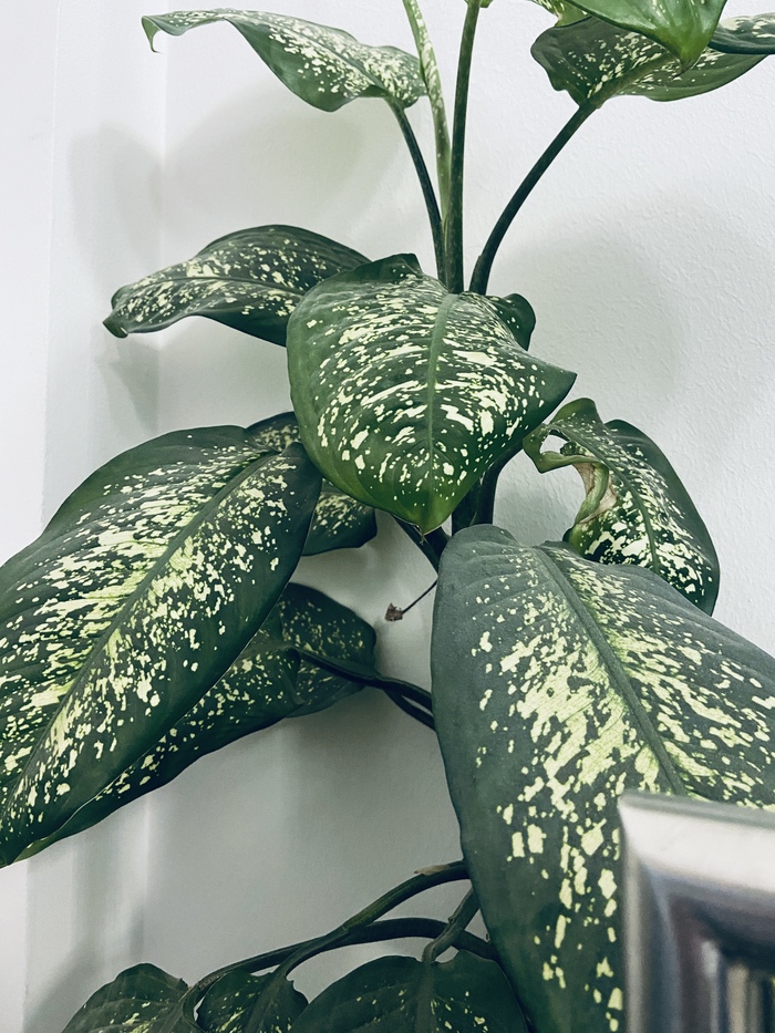 �������� ������