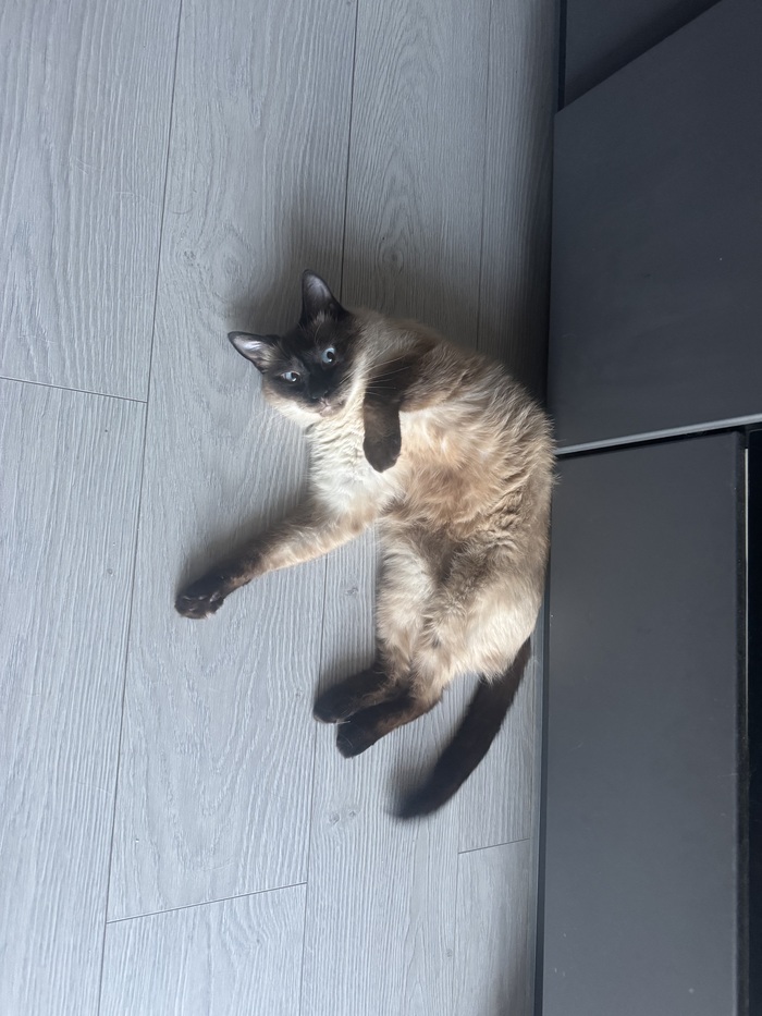 ���� ������ ����� ������������ 