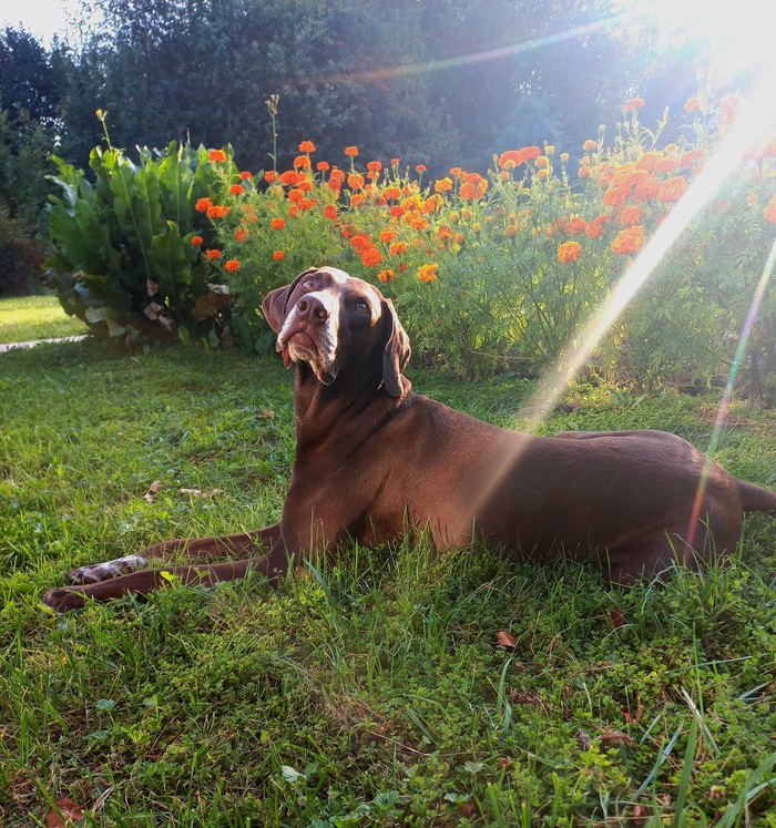 ��� ������