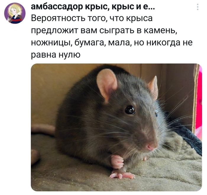 � �� ����������