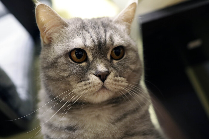 ������� �����