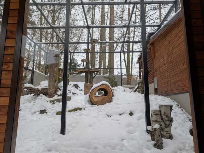 ����� ������