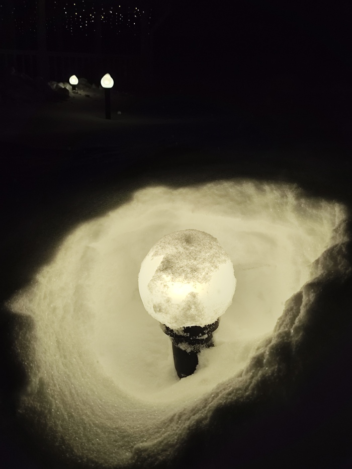 ���� ���� ��������� ��� ������