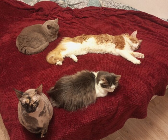 ���� ��� ������ ������� ����������� ������. ������� - �������� ������� �������.