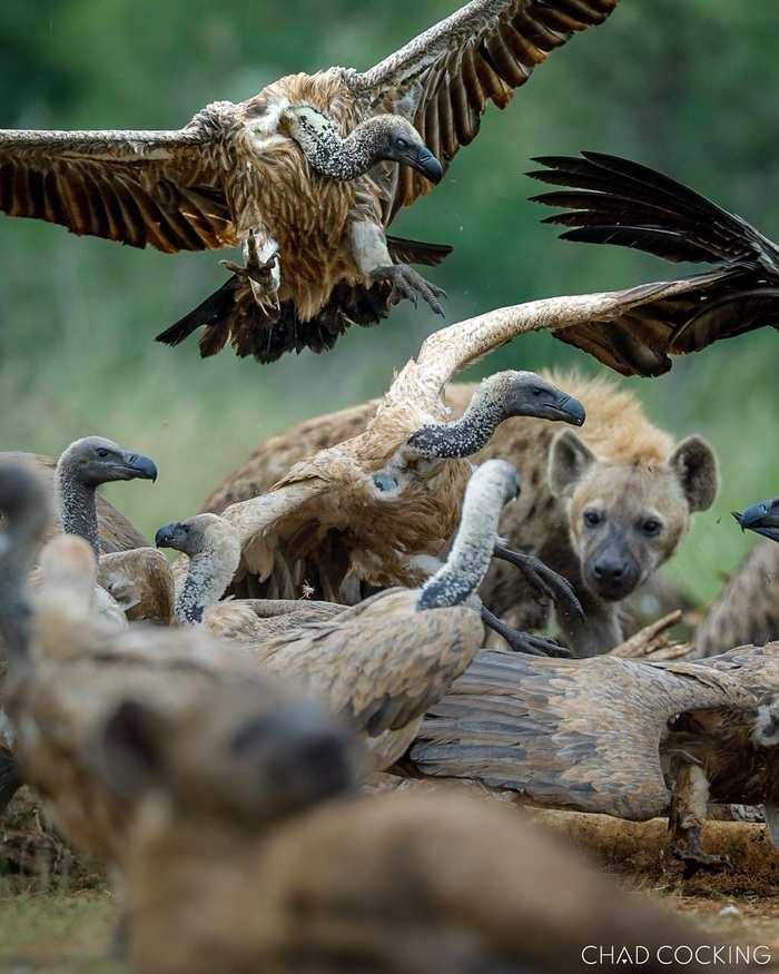 ��� � ��� ��� ������������?