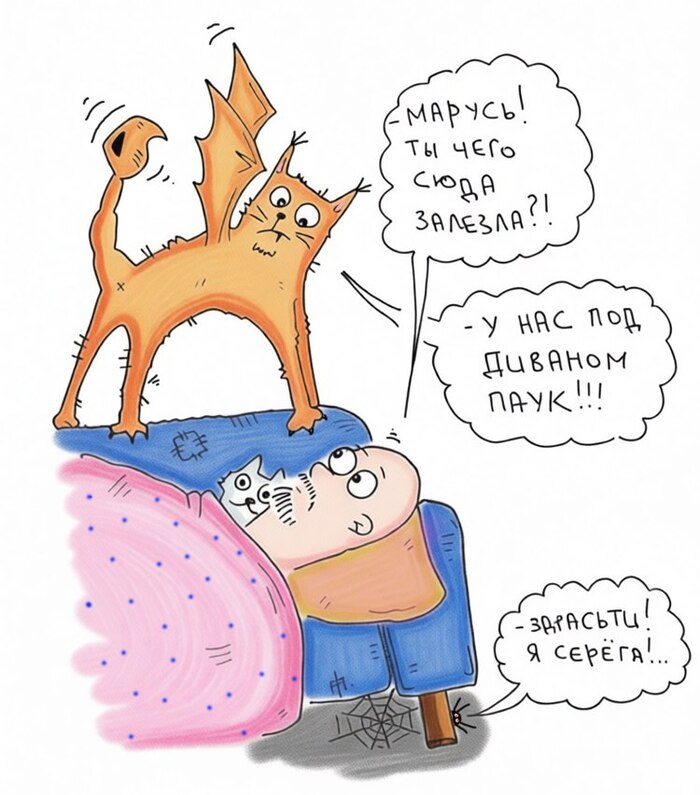 ������ ������ � �����������