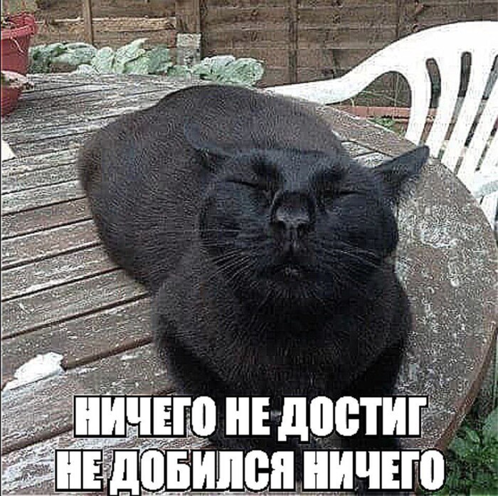 �� ������ ����