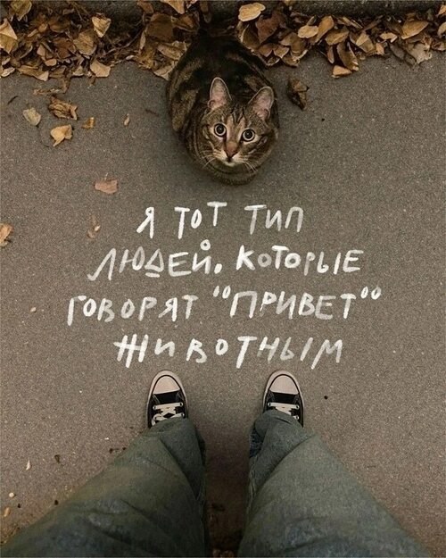 Языковой барьер