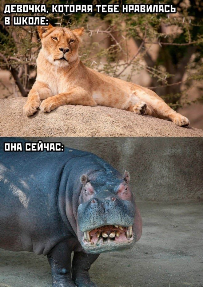 <a href="https://pikabu.ru/story/teoriya_yepshteyna_13673118?u=https%3A%2F%2Fpikabu.ru%2Fstory%2Fa_kto_ne_khochet_byit_igryistyim_klounom_tot_stanet_igryistyim__13674435&t=%D0%90%20%D0%BA%D1%82%D0%BE%20%D0%BD%D0%B5%20%D1%85%D0%BE%D1%87%D0%B5%D1%82%20%D0%B1%D1%8B%D1%82%D1%8C%20%D0%B8%D0%B3%D1%80%D1%8B%D1%81%D1%82%D1%8B%D0%BC%20%D0%BA%D0%BB%D0%BE%D1%83%D0%BD%D0%BE%D0%BC%2C%20%D1%82%D0%BE%D1%82%20%D1%81%D1%82%D0%B0%D0%BD%D0%B5%D1%82%20%D0%B8%D0%B3%D1%80%D1%8B%D1%81%D1%82%D1%8B%D0%BC%20...&h=0a36f35e04e10adeb54d1b7cd5037a94001a4fd6" title="https://pikabu.ru/story/a_kto_ne_khochet_byit_igryistyim_klounom_tot_stanet_igryistyim__13674435" target="_blank">� ��� �� ����� ���� �������� �������, ��� ������ �������� ...</a>