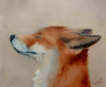 �������� ������