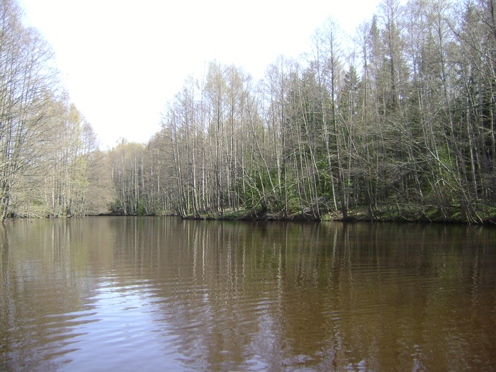 ��� ����� �������� ����� � ����.