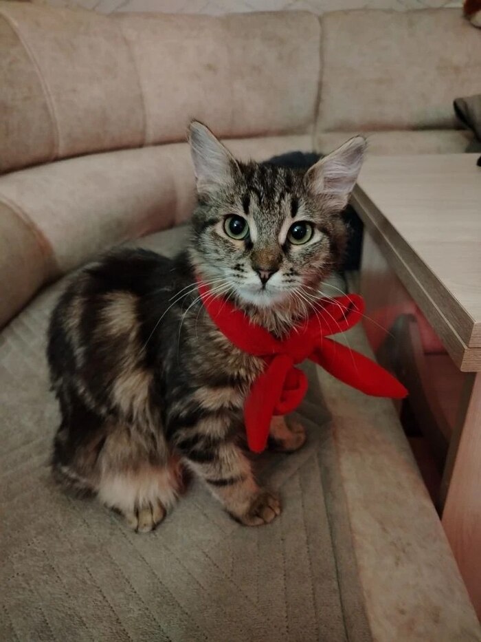 ������ ������ ����� ���� ���� � ������ � ���� �� ������ ������������ 