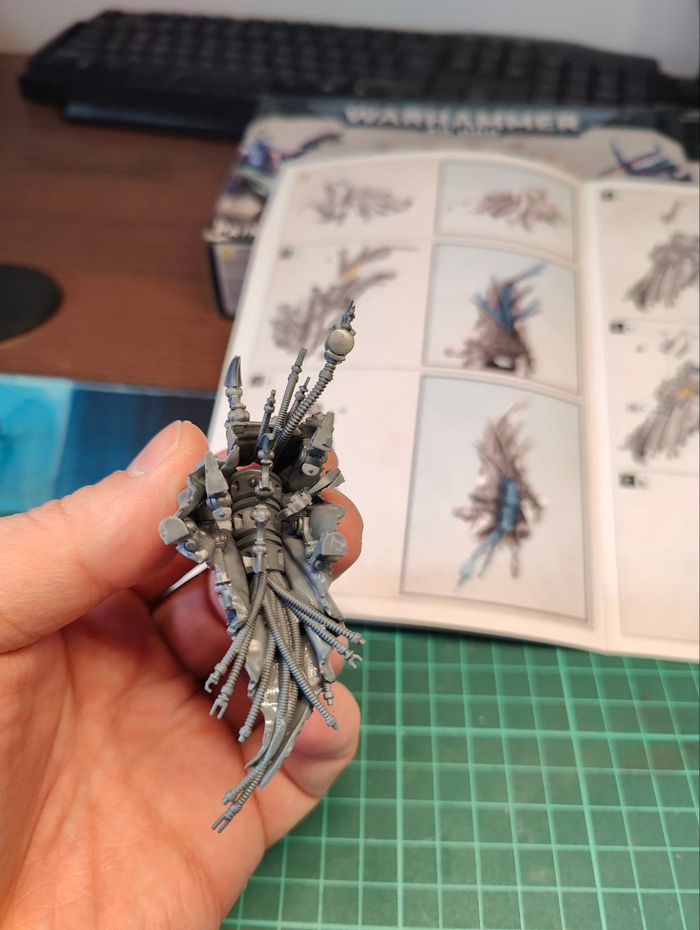 ����� ������ ��������