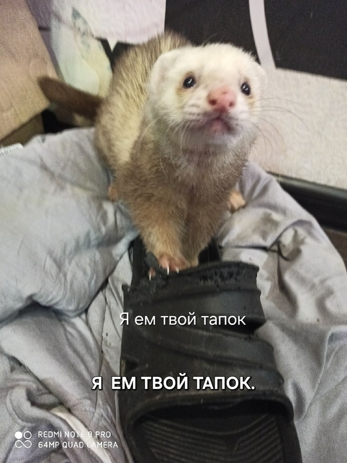 ��� � ���������