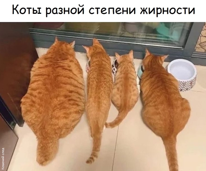 ��������: 50%, 5%, 0,1%, 20%