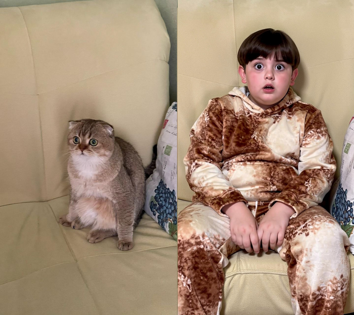 �����, 5 ���