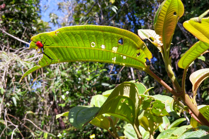 ���-�����. ��� �� � ����� ��� ����� ���?