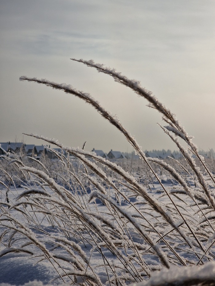 ��������� ��������� 3