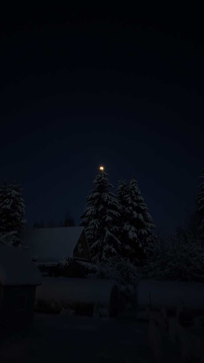 ������ ������