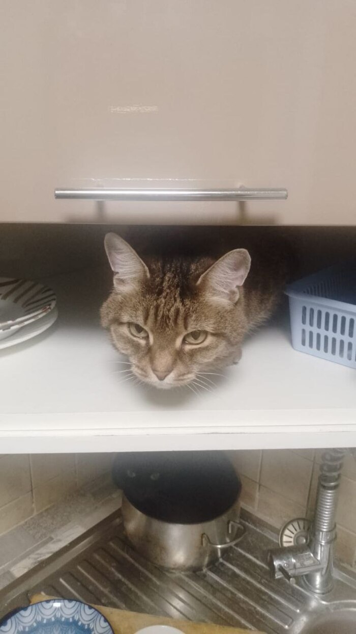 �����, ���������� ����� ������ 15 ���. ���������� ����� ����, � ��� ����������� ��� ���� � �� ��������, ������ �� �����. ����� � ���� �������� ��������� ����� �������� � ������������� �����.