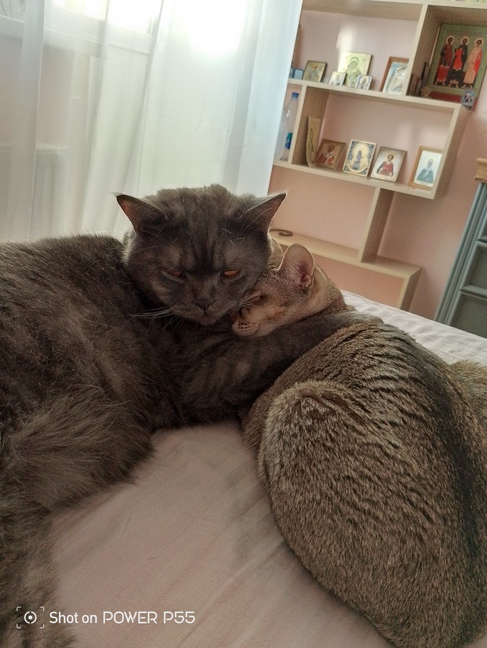 ���� � ������ �����������