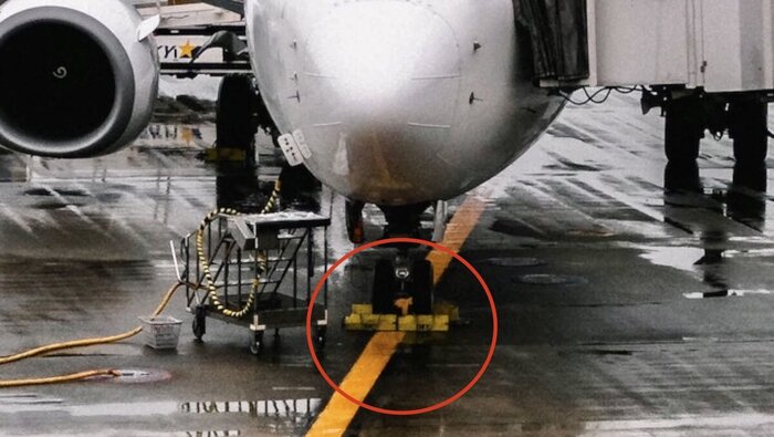 �������, ������������� ��� ������ ������� ������