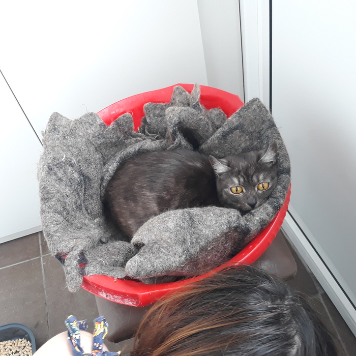 ��� ����� ���� ��� "�����"?