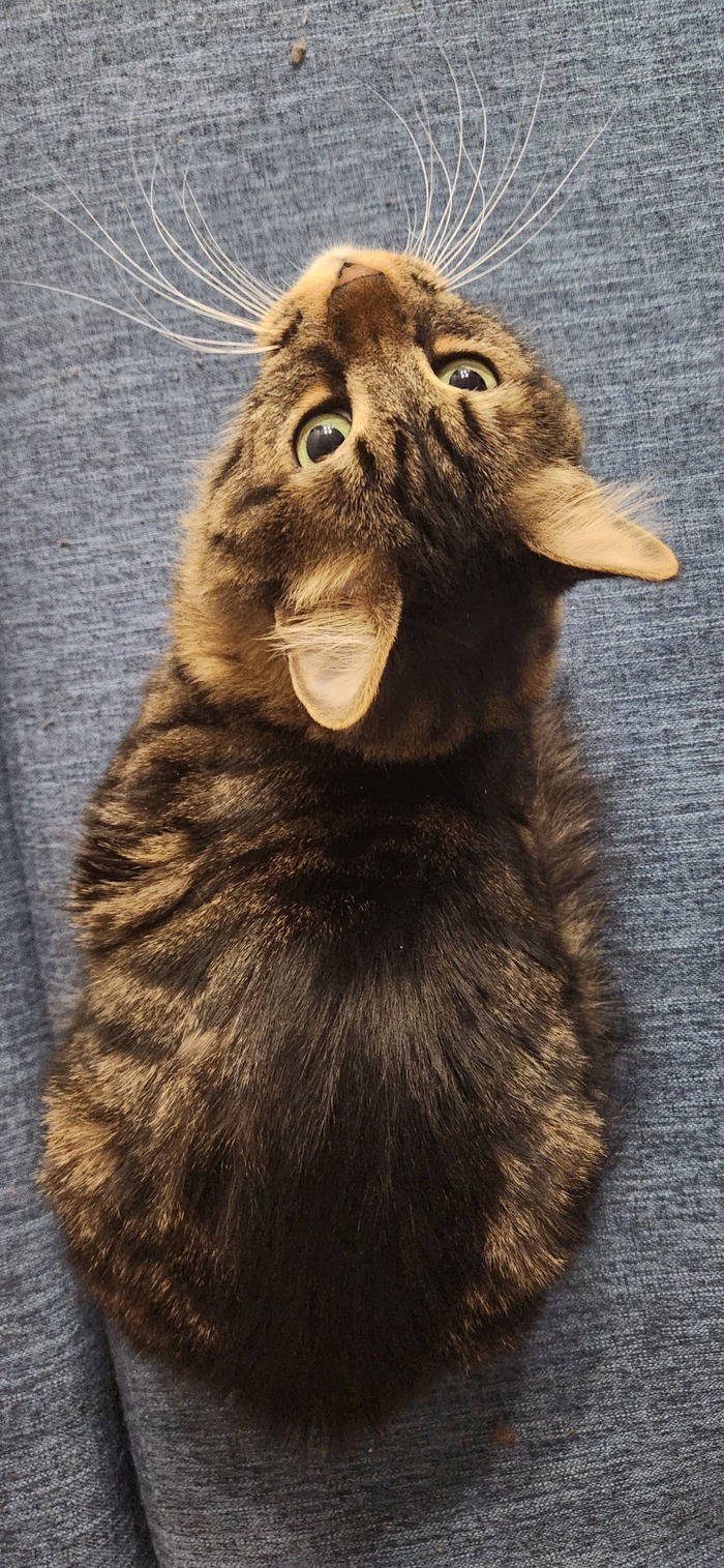 ���������� ������� #197