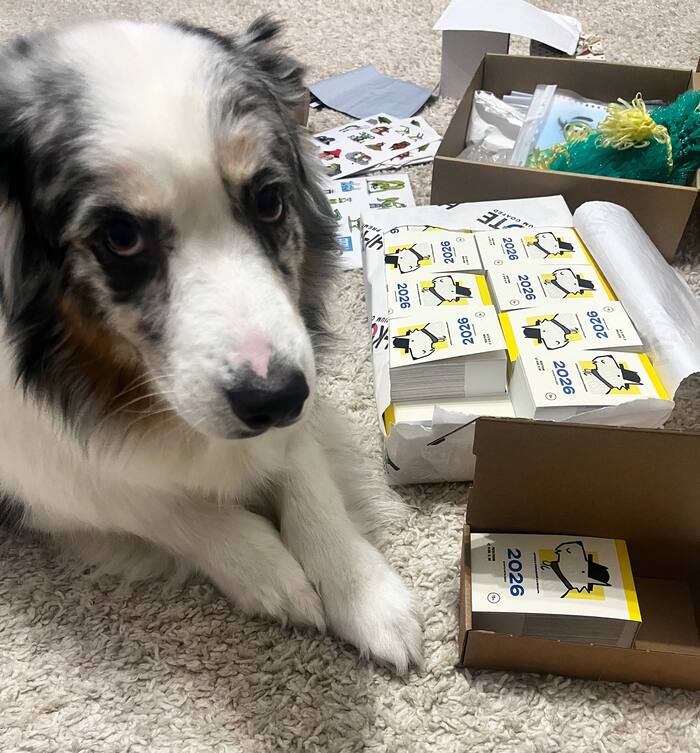 �������� �����������