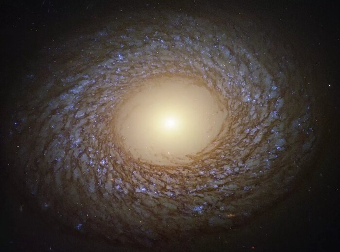 �������� �����. ������ � ����