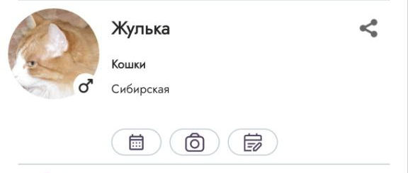 � ��������� �������� �������� - ������ "���������". �������� � �������������! ��� �� ���? �� ��, ����, ���� �� �������..