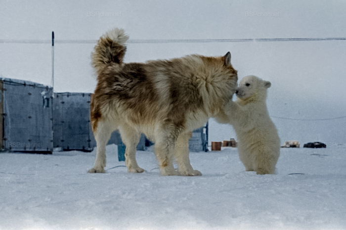 ��������: ����� �������