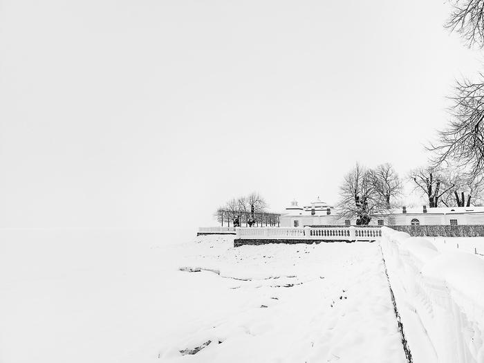 ������ ���������