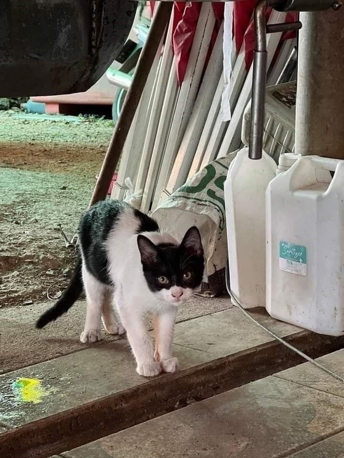 ������� ��������?