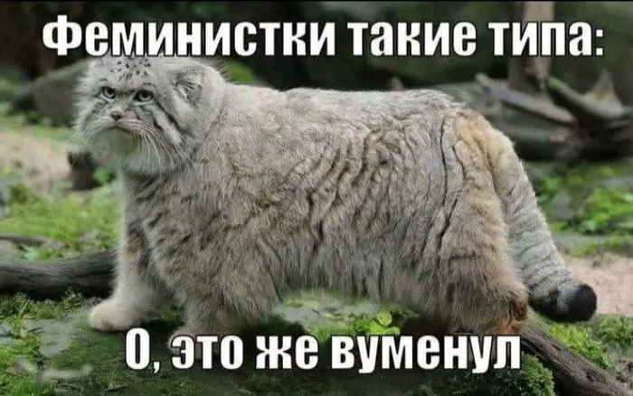 ���������� �� ��������