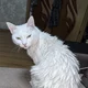 ����� ����� ������ ���� �����������