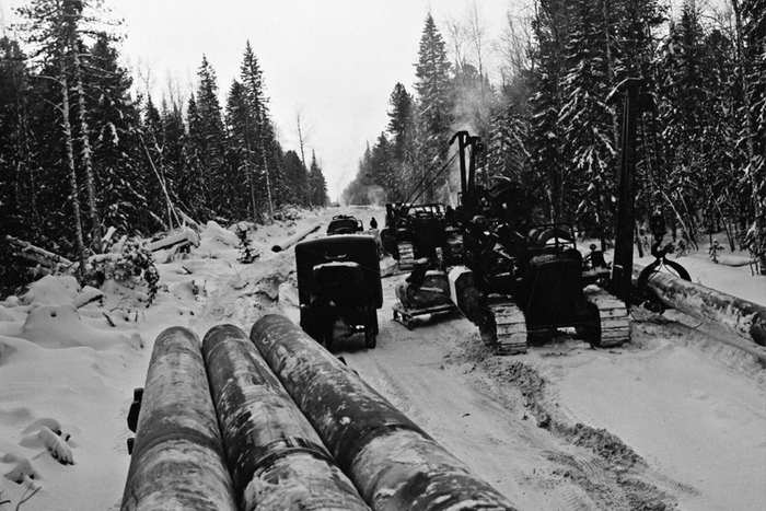 ������������� ������������